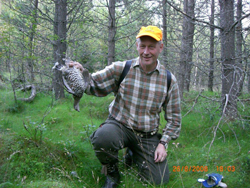 Grouse huting in the forrest
