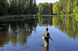 Fly-fishing in Härjedalen and Jämtland