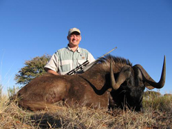 Black wildbeest