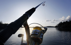 Fishing from boat