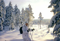 White grouse hunting in the winter