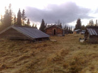 Jaktkoja fäbodvall i Jämtland