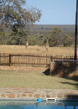 Jaktlodge Sydafrika