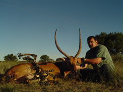 Red Lechwe