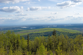 Vildmark Sverige